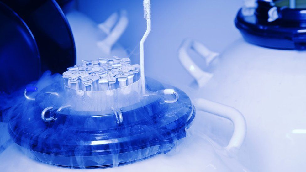 embryo-freezing